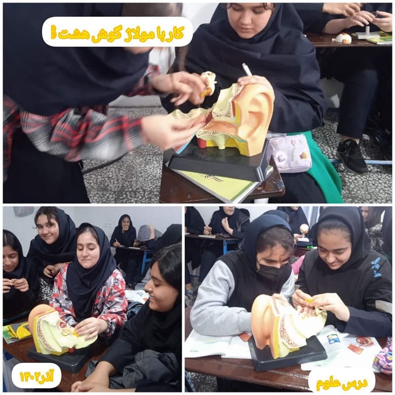 کار با مولاژ گوش